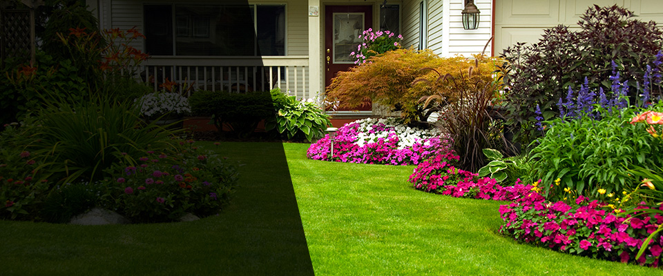 Lake Elmo Landscapers