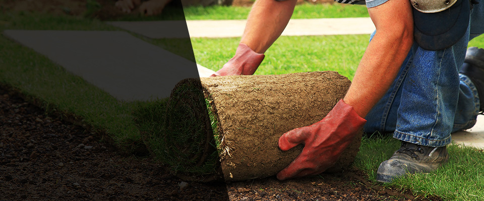 Lake Elmo Landscapers
